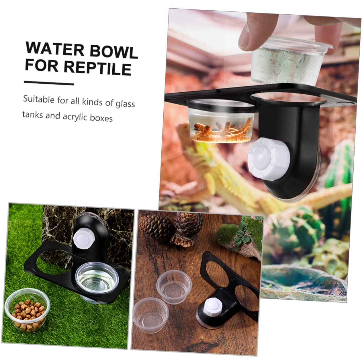 Mangiatoia Per Rettili Con Ventosa – Ciotola Separata Per Cibo E Acqua, In Plastica Resistente, Per Gechi, Lucertole E Piccoli Animali Da Terrario