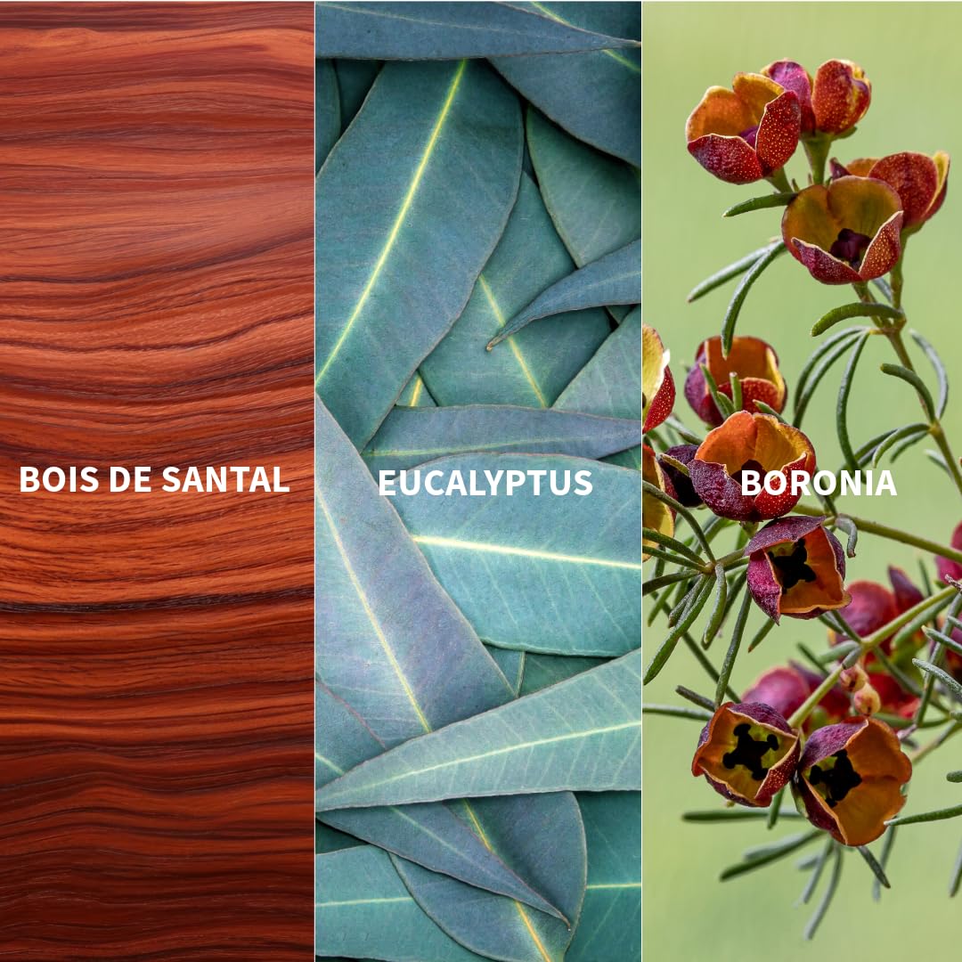 Naturalna woda perfumowana LE CZAS SOGES - AUSTRALIA 50 ml - FiiLiT perfumy podróżne - dla kobiet i mężczyzn - Butelka do ponownego napełniania - Santal Eukaliptus Mistic Relaksujący drewno