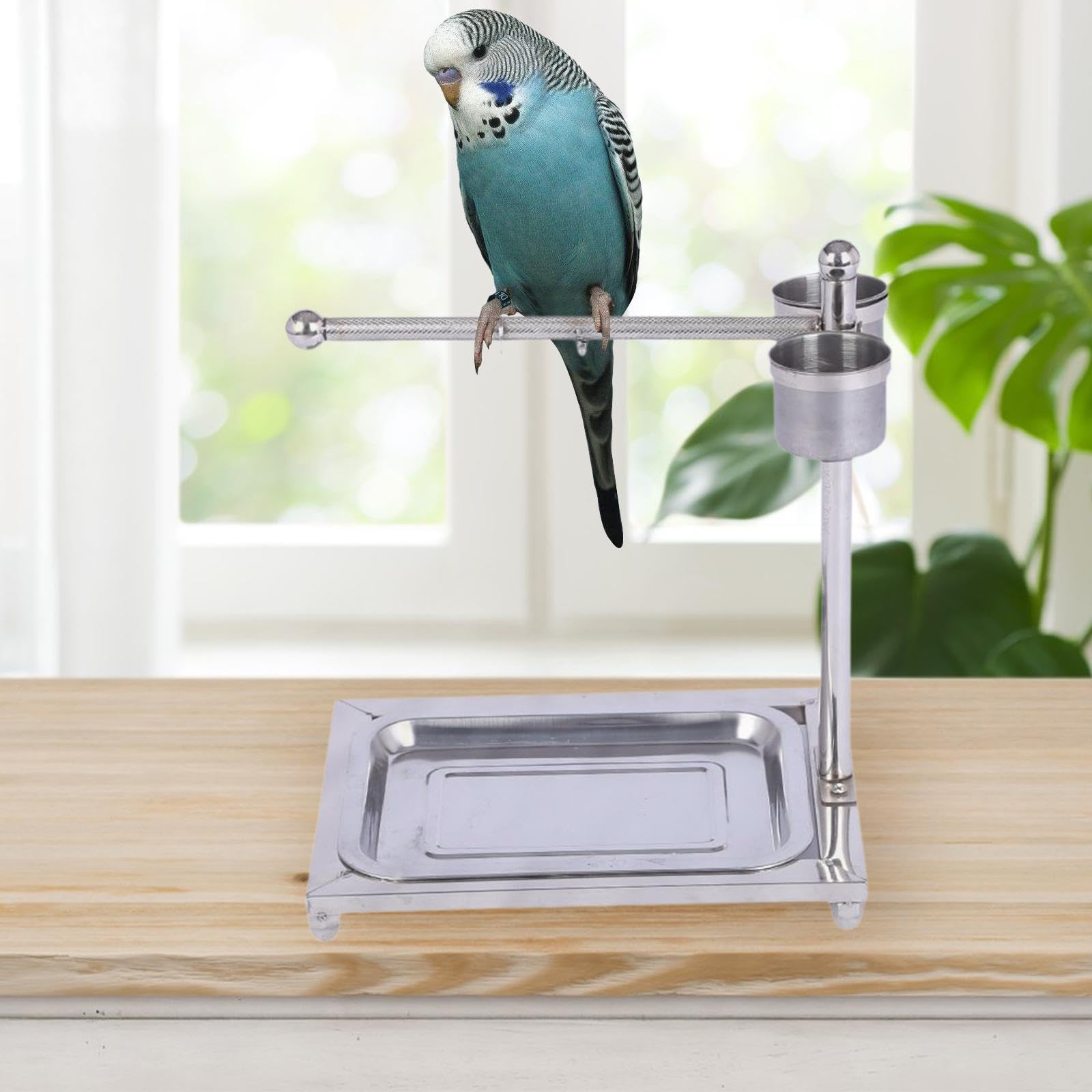 Bird Tabletop Training Stand Budgie Play Shelf with Removable 2 Feeding Cups Macaw Play Stand, 36cmx27cmx46cm