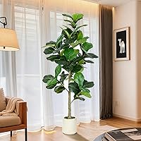VIVATREES 6FT Faux Fiddle Leaf Fig Tree with White Planter - Lifelike Artificial Plant for Indoor Outdoor Home Office Decor