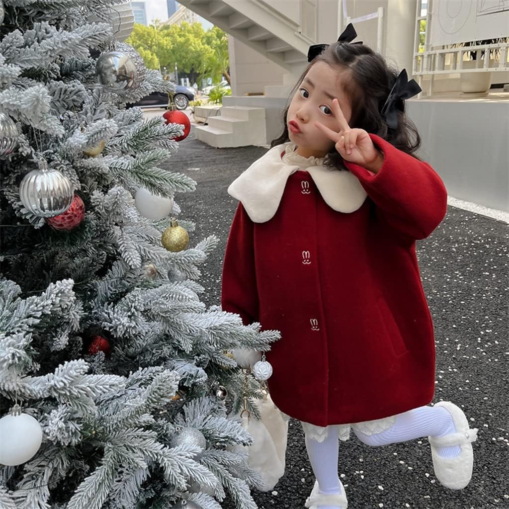 掛軸 三輪良平作 立雛 桃の節句 共箱 落款有 二重箱入 2025年