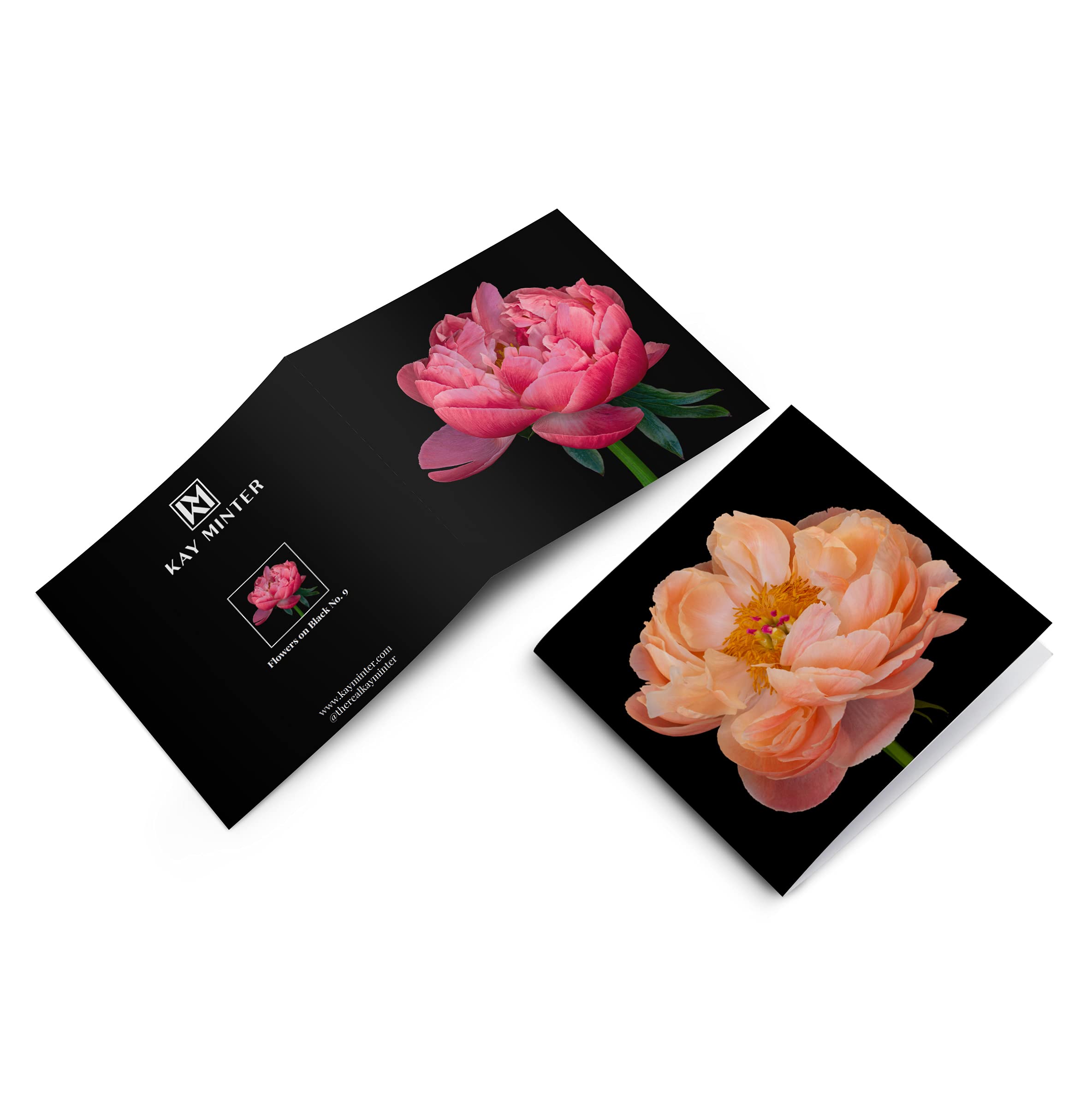 Kay Minter Luxury Greeting Cards - Peony Flower Art on Black - Selection Pack of 4 with Envelopes - Blank Inside - Image 2