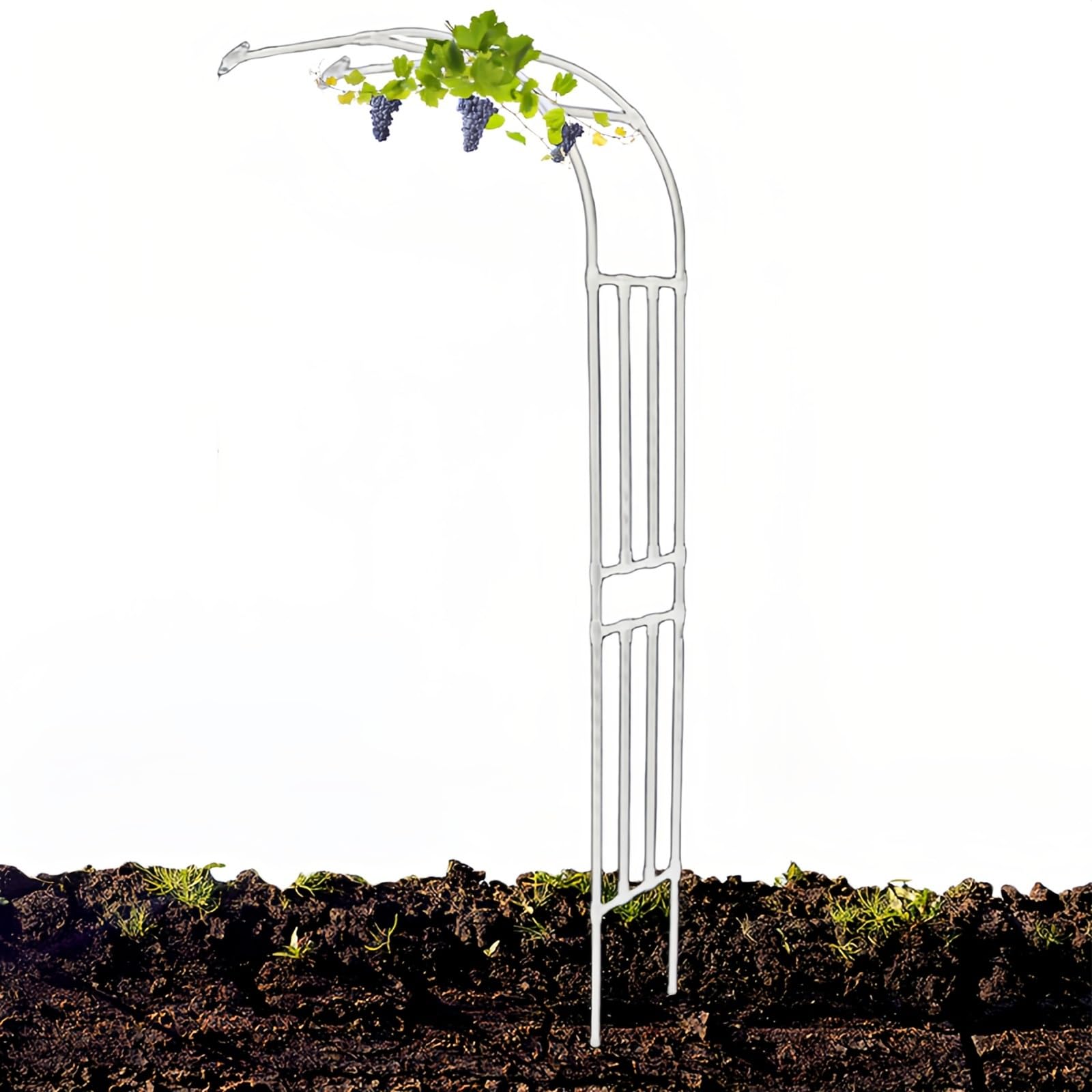 Support résistant pour plantes grimpantes avec cette arche en métal