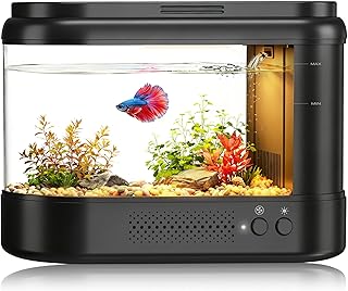 Betta Fish Tank Black 1 Gallon Acrylic Small Fish Tank Kit with Water Filter Pump & LED Light,Quiet Office Desktop Fish Bowl for Small Fish,Plants and Shrimp