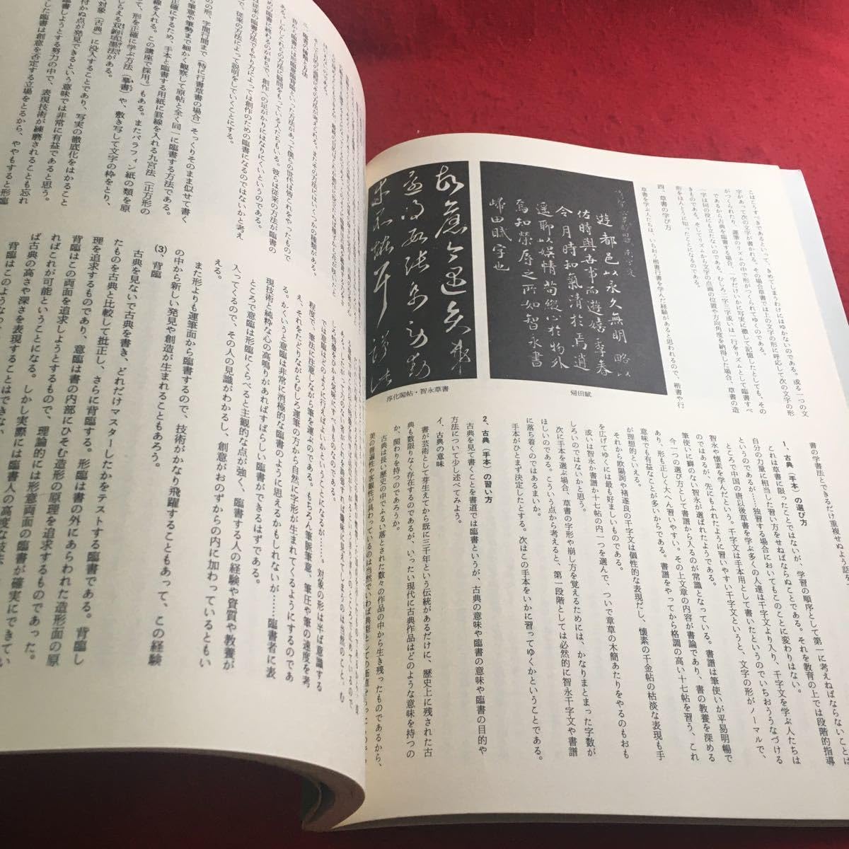 書法2 59回無心会書展 – 59th Calligraphy exhibition of Mushin Kai