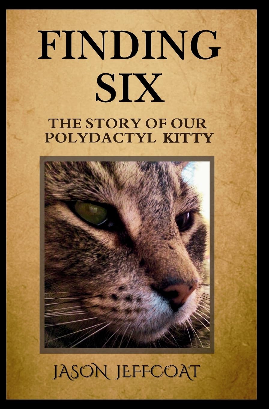 Finding Six      Hardcover – December 1, 2024