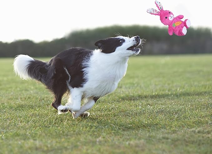 Juguete de Peluche para Perro DODODOLA con Chirriador y Papel Crujiente miniatura 5