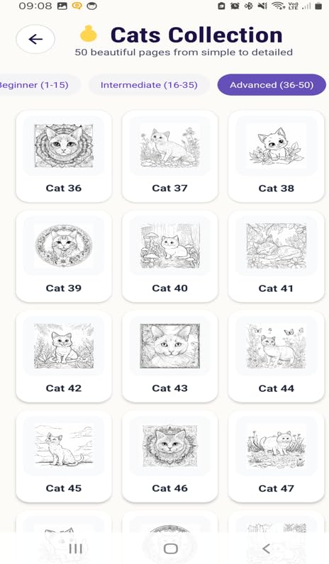 Cats Coloring Book — view 4