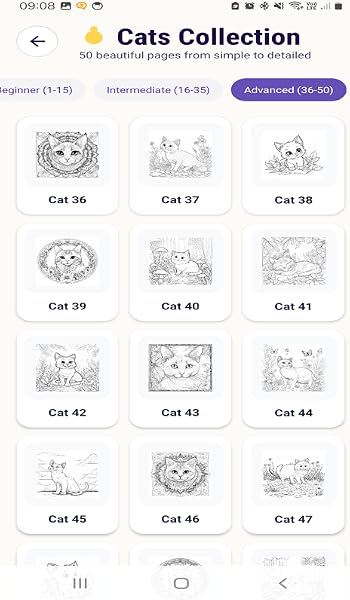 Cats Coloring Book - 4