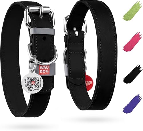 Miniatura 1 de WAUDOG Collar de cuero de larga duración para perros grandes, medianos y pequeños  Collares clásicos ajustables para cachorros de raza grande