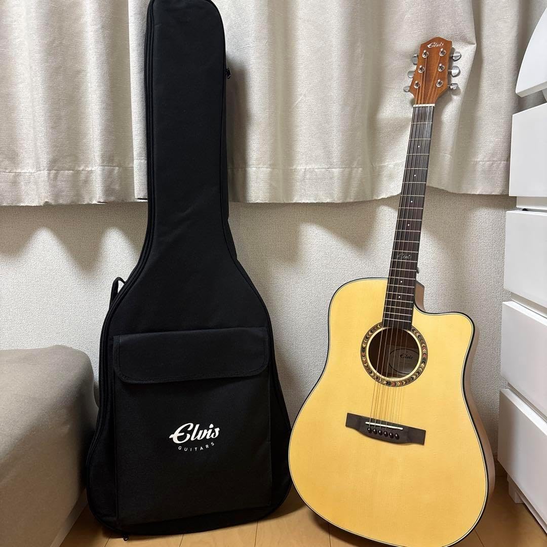 Soldinの初心者用ハードケース付きギターSFG-15BSS使用感少な目