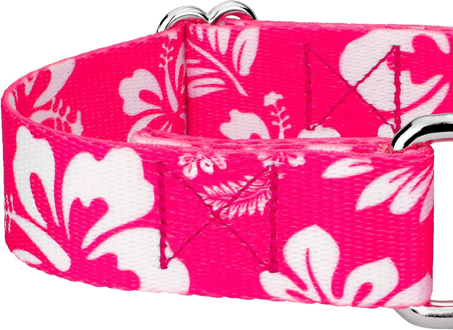 Country Brook Petz - Pink Hawaiian Martingale Dog Collar and Leash - Summer Breeze Collection Featuring Sunny Designs (1 Inch, Medium)
