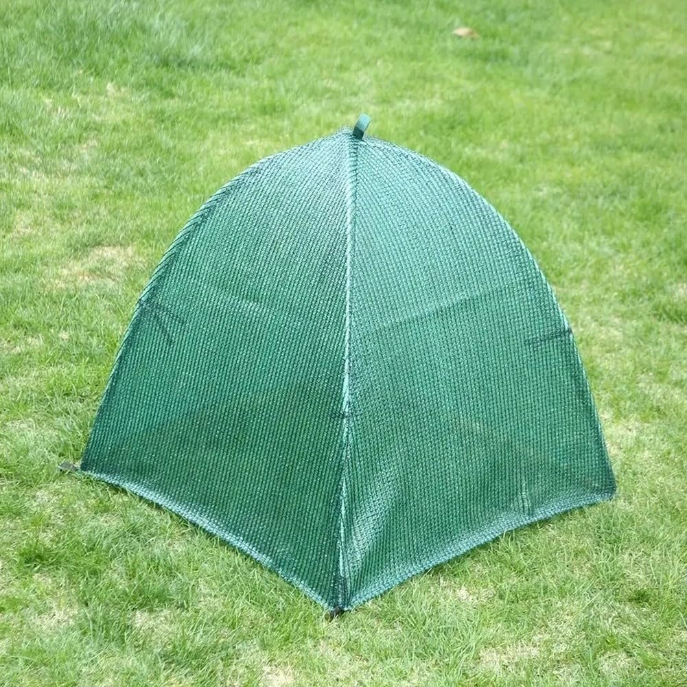 Protectora Plantas 60cm Antiaves con Estacas Protectora Plantas(PE White +4)