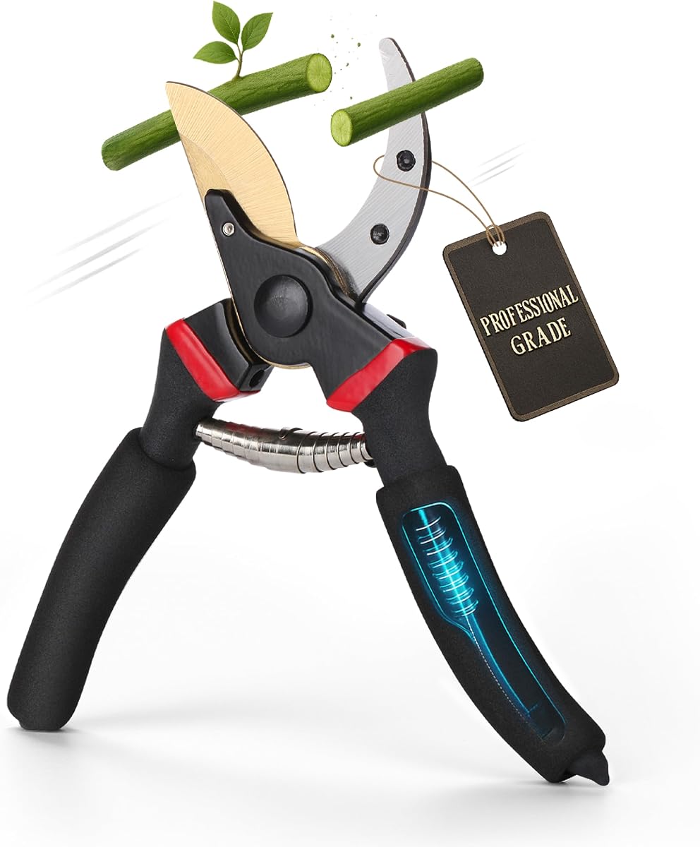 Mr. Pen- Pruning Shears, Garden Shears, 8" Professional, Titanium Blade | Garden Scissors, Gardening Shears