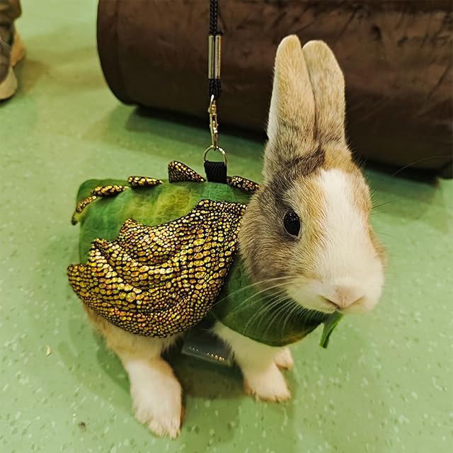 Foto 5 de 8 de Arnés de disfraz de dinosaurio, ropa de animales pequeños para conejillos de indias, hámster, cobayas