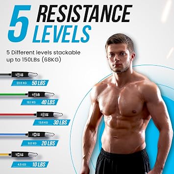 Resistance Bands Weight Building Kit 150 lbs 12 Elastic Bands for Yoga Calisthenics Gym Crossfit TRX Pilates Home Gym – Elastic Muscle Bands with Anklets and Door Grip