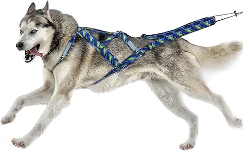 PET ARTIST Arnés de tracción de peso para perro, entrenamiento de velocidad, arnés de trineo para perros medianos y grandes, azul, XL