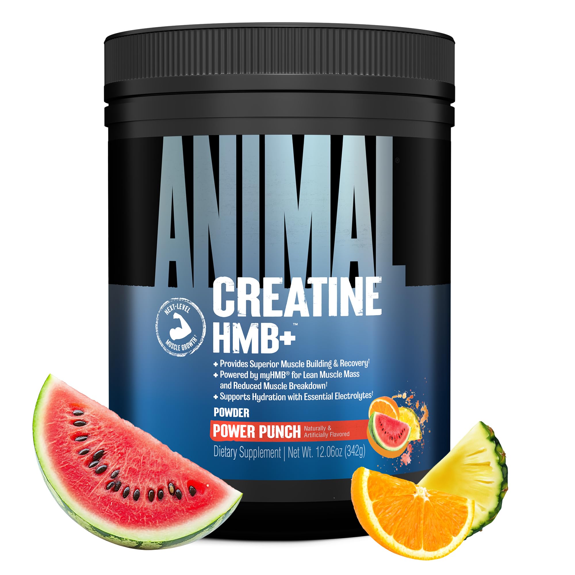 ANIMAL Creatine HMB+ - Creatina monohidrato en polvo con HMB y electrolitos - Favorece el crecimiento muscular, la regeneración y la resistencia - Power Punch, 30 porciones