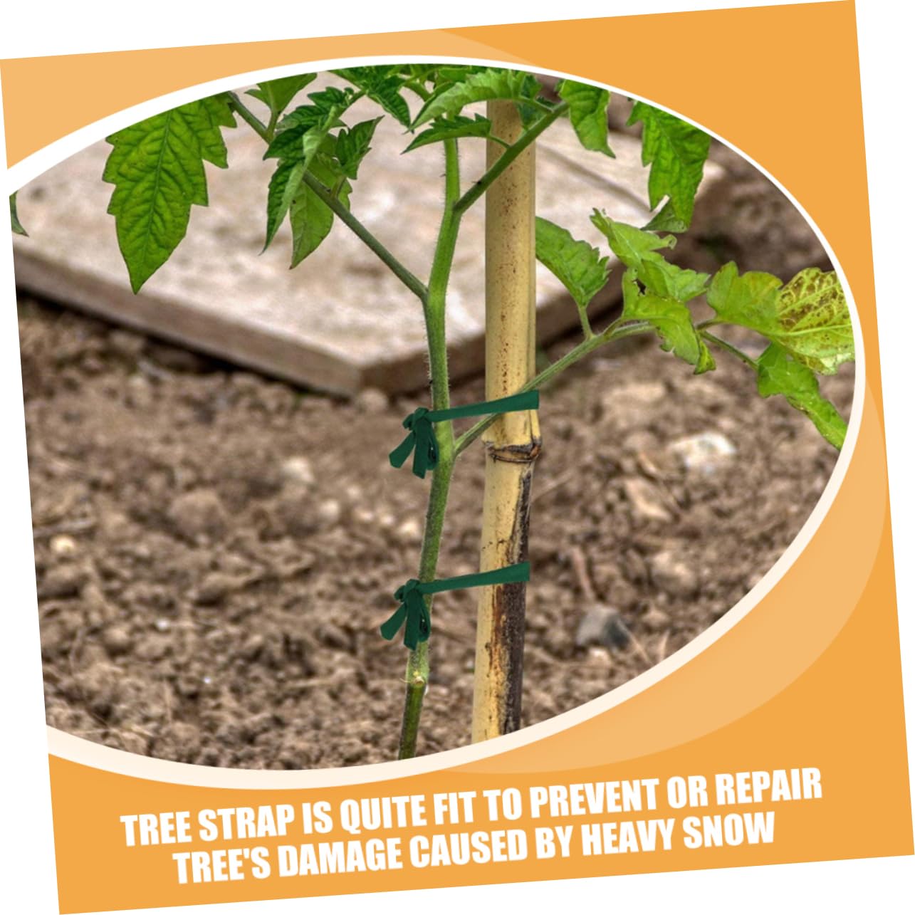 SUPVOX 8rouleaux Sangles De Soutien pour Arbres Strap De Fixation Robuste pour Vos Plantes Sécurité Ajustable Et Durable