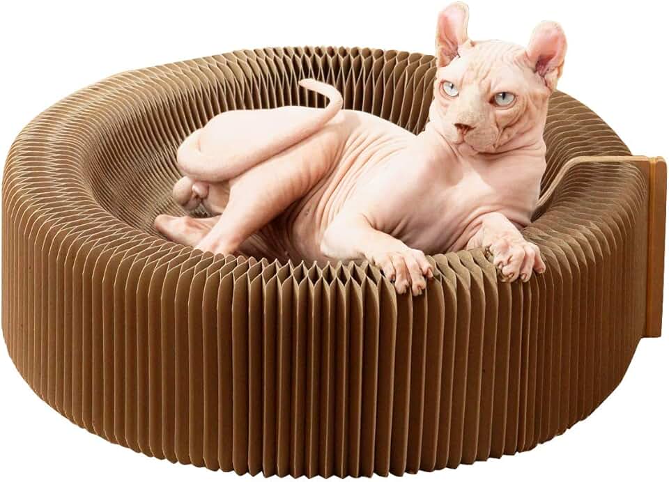 round cardboard cat scratcher