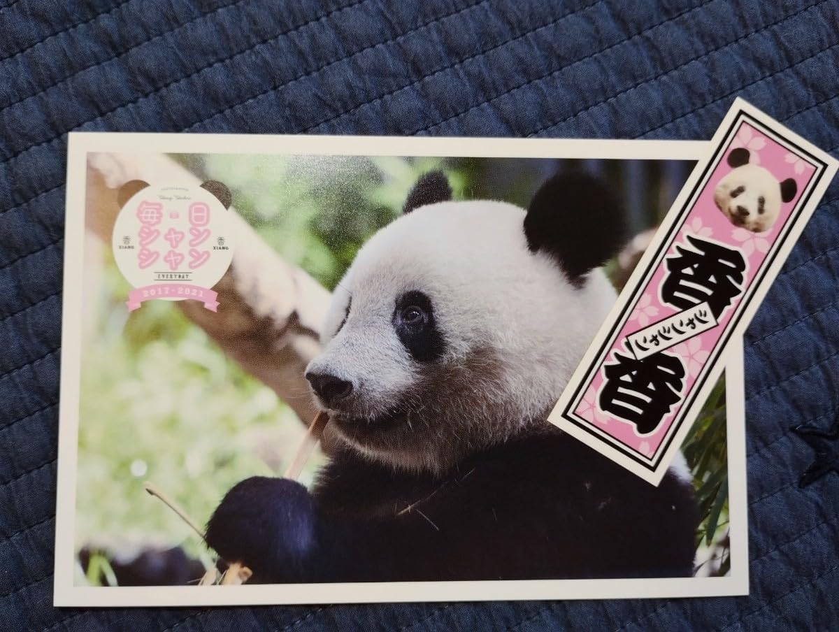 シャンシャン シンシン パンダ 上野動物園 公式ポストカード 完売品