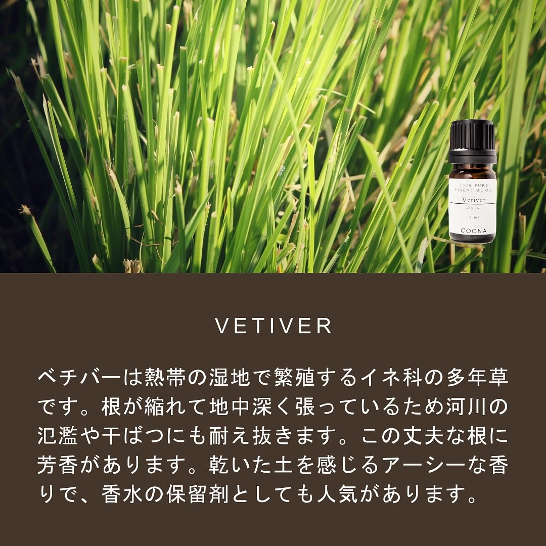Amazon.co.jp: Vetiver 50ml (COONA Essential Oil, Aroma Oil 100
