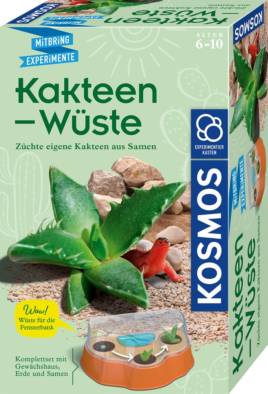 KOSMOS 658250 MBE Kakteen-Wste Zchte eigene Kakteen, Komplett-Set mit  dekorativem Mini-Gewchshaus, Kakteen zchten fr Kinder ab 6 Jahre,:  Amazon.de: Spielzeug