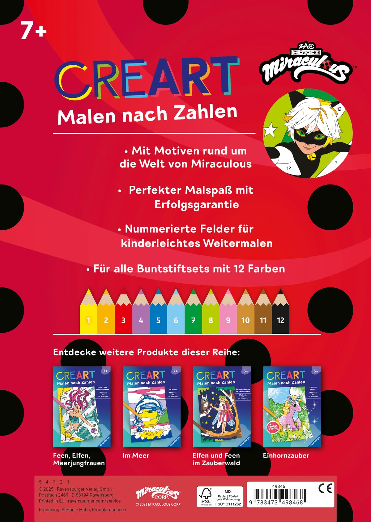 CreArt Malen nach Zahlen - Miraculous