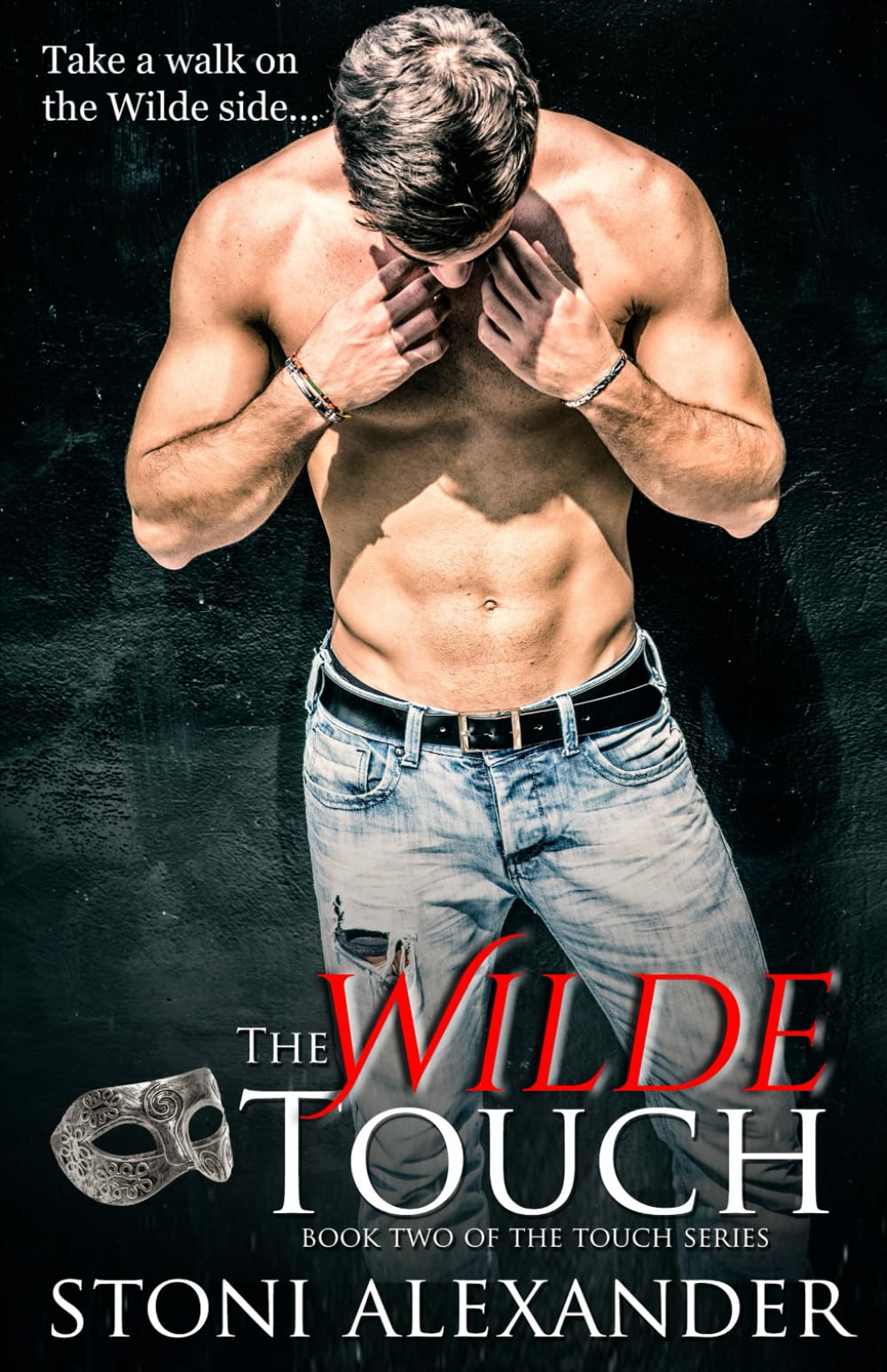 The Wilde Touch: Book Two of The Touch Series