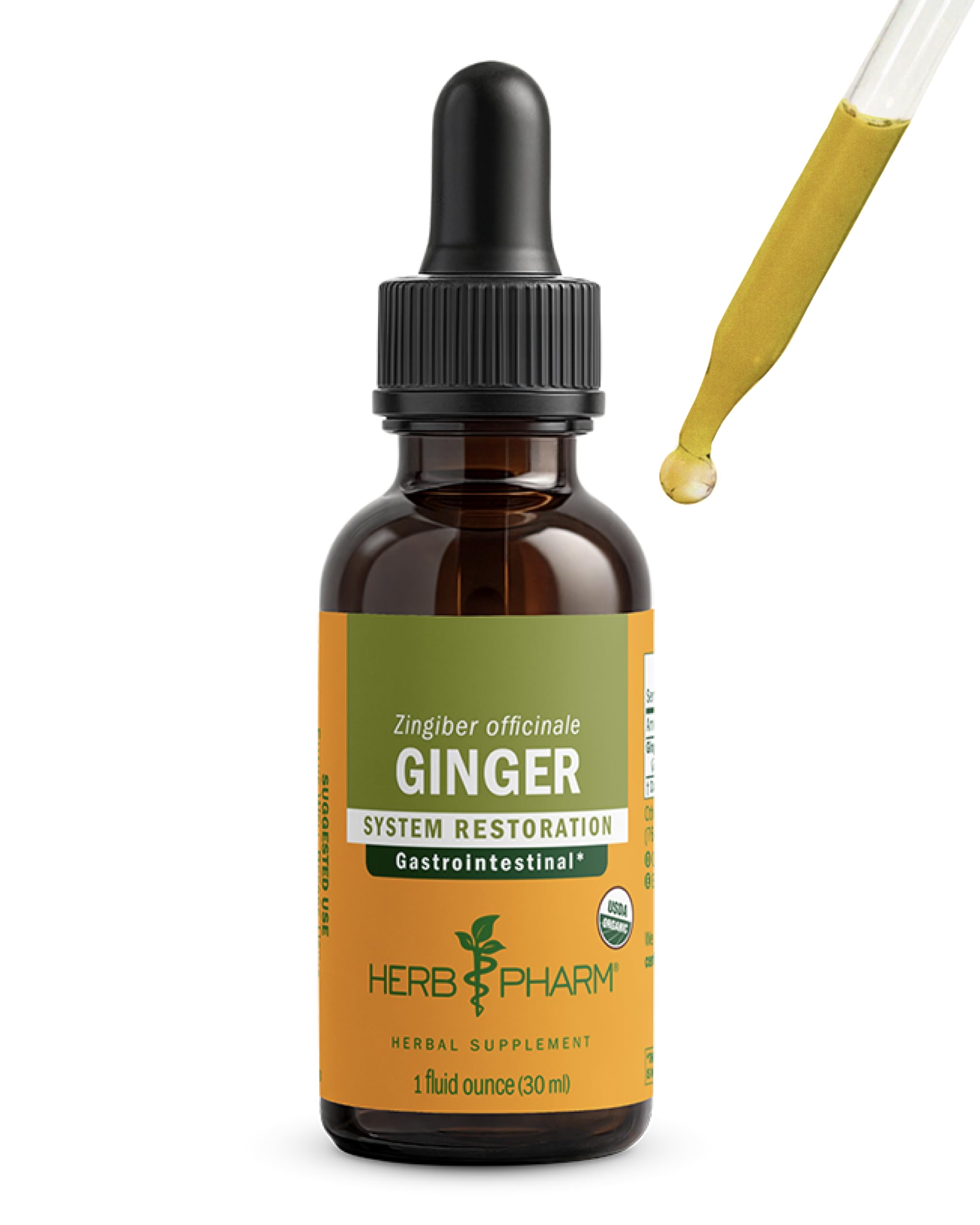 Herb Pharm Ginger Liquid Extract: Organic Supplement for Digestion, Occasional Nausea Support, Fast-Absorbing Ginger Liquid, Sugar-Free Digestive Support Tincture, Up to ~3 Week Supply, 1 oz* 1 Fl Oz (Pack of 1)