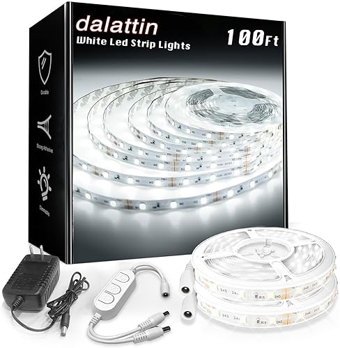 dalattin Tira de luces LED blancas de 100 pies, regulable, brillante, 24 V, 6500 K, luz diurna blanca, 1800 luces LED para dormitorio, espejo,