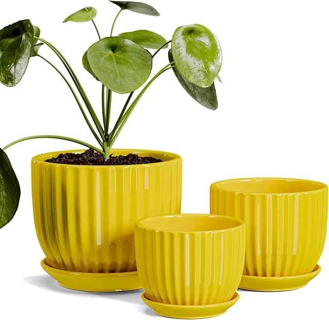 Pots de fleurs en céramique 3, Pots de 4+5+6 pouces pour les plantes intérieures Pots en céramique avec bac,Moyen Planters intérieurs pour les pots décoratifs Aloe Cactus avec trou de drainage