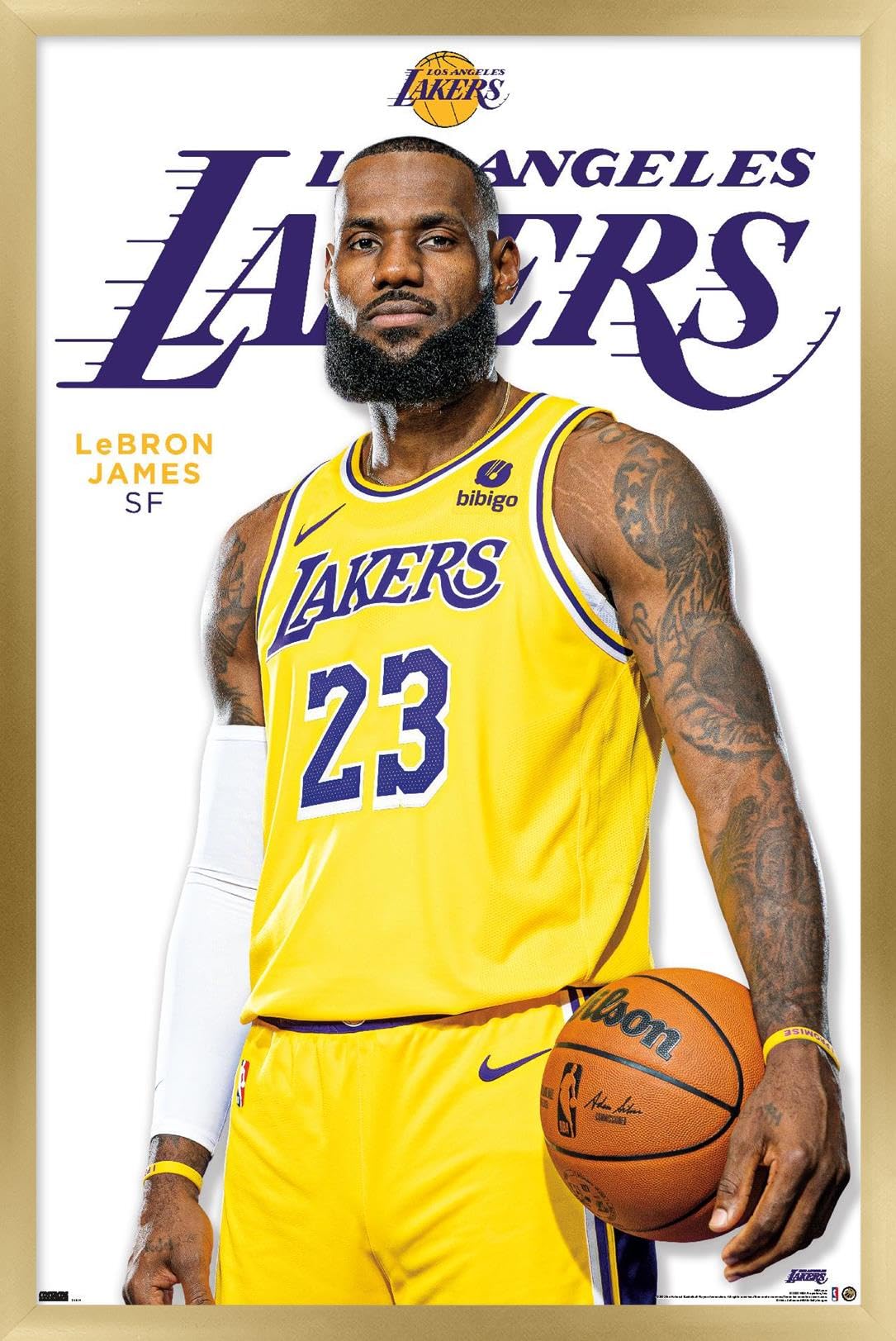 NBA LeBron James タペストリー NBA LeBron James タペストリー