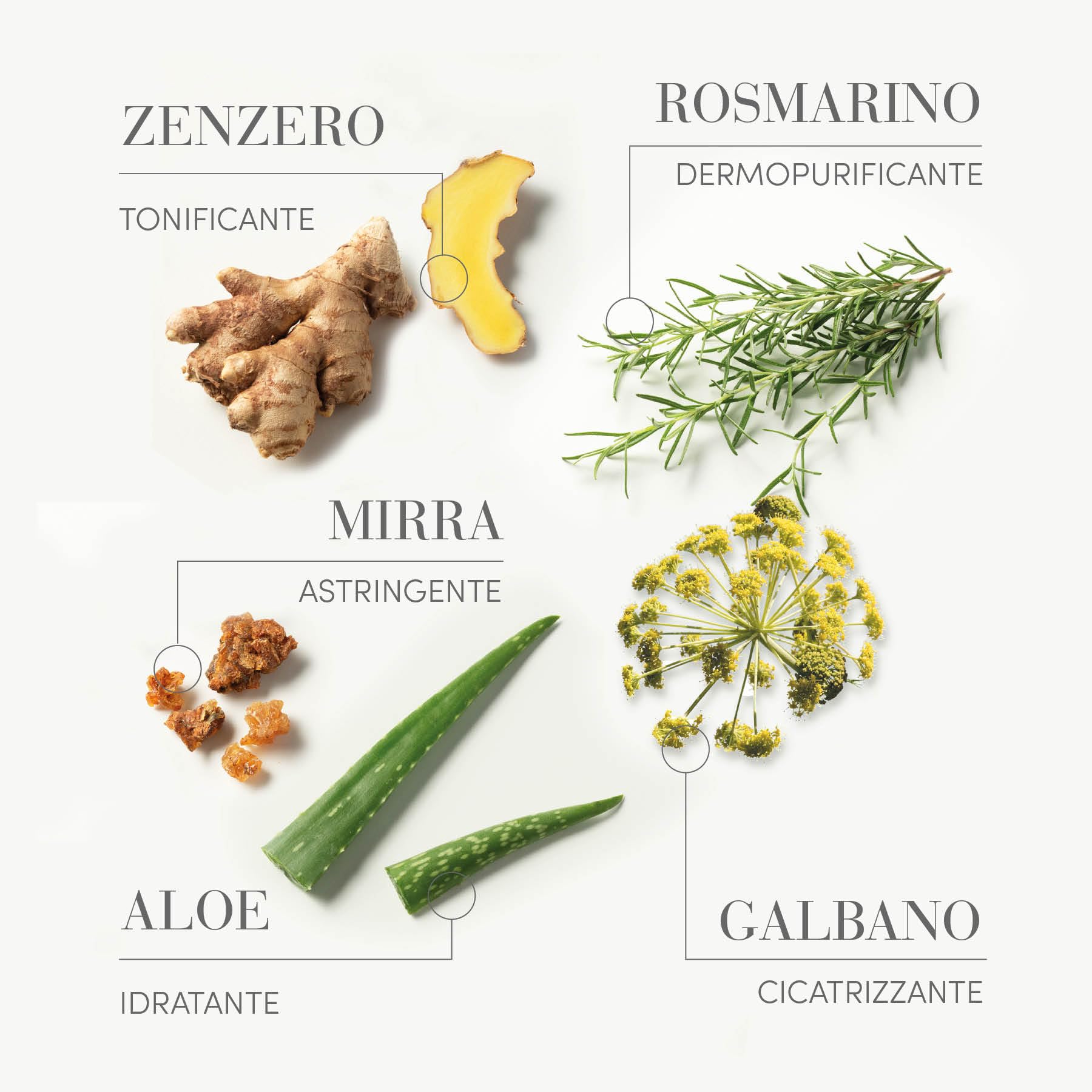Medavita | Puroxine Lozione Antiforfora 12 Fiale x 6 ml, Riduce Prurito e Sebo, Made in Italy