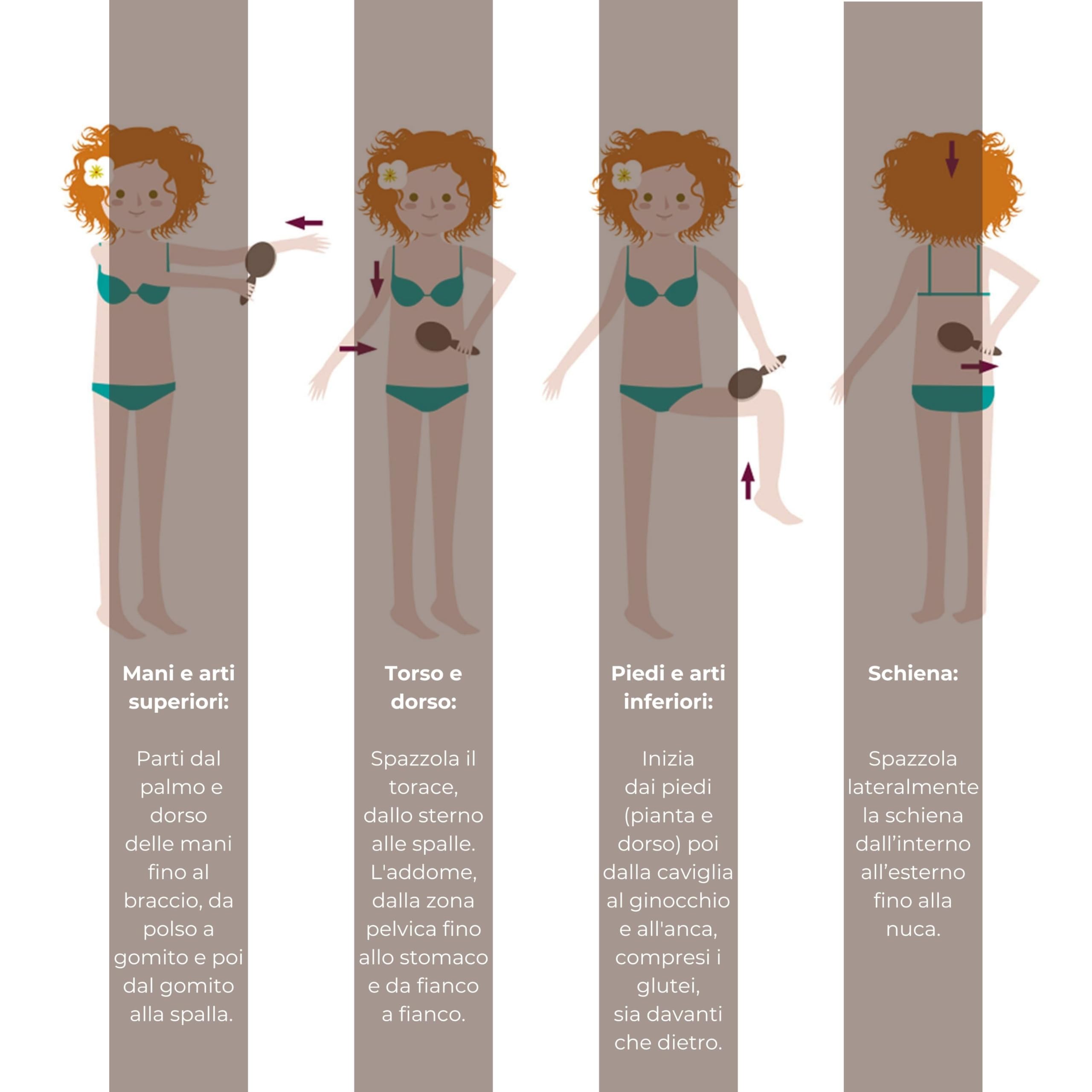 Spazzola Corpo per Spazzolatura a Secco, Setole Naturali Tampico Erbecedario, Legno di Faggio, Per Contrastare Inestetismi Cellulite e Ritenzione Idrica, Migliora la Circolazione, Azione Esfoliante