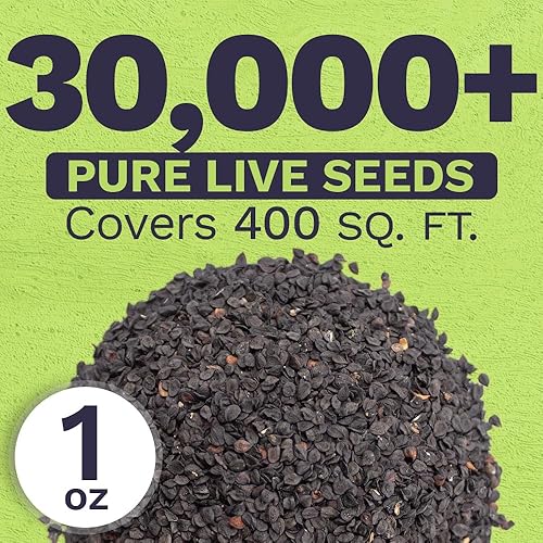 Miniatura 3 de Semillas Sweet William - Colores rosados mezclados - Paquete extra grande de 1 onza - Más de 30,000 semillas de flores polinizadas abiertas sin OMG