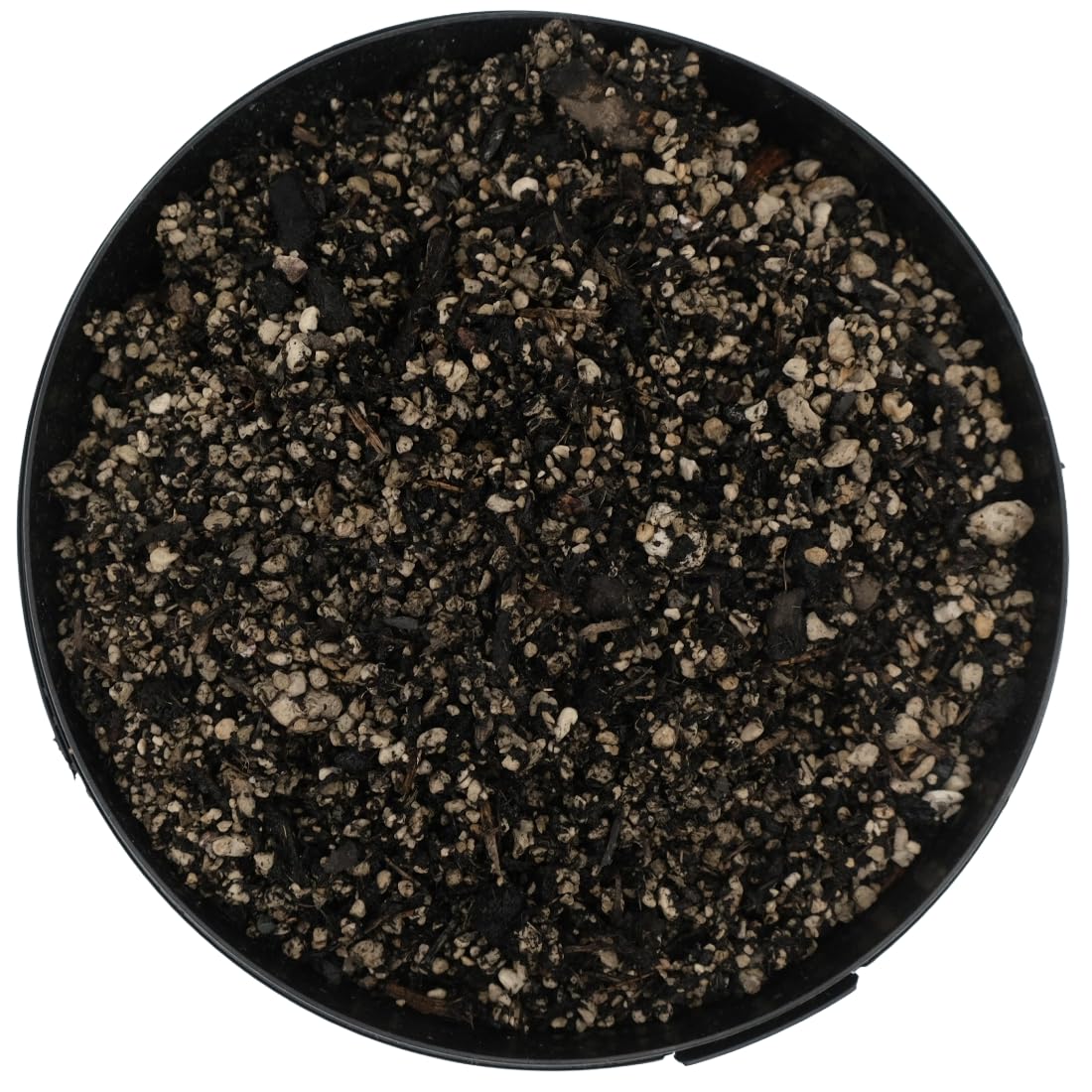 Universal Aroid-Erde | Frei von Torf und Kokos | Biokohle | GREENSOILS | 20 Liter