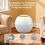 Dehumidifier & Humidifier 2-in-1 with Purifier, 101oz Tank, Whisper-Quiet Smart Steam Control for Bedroom, Baby Room, or Basement, Includes Drain Hose