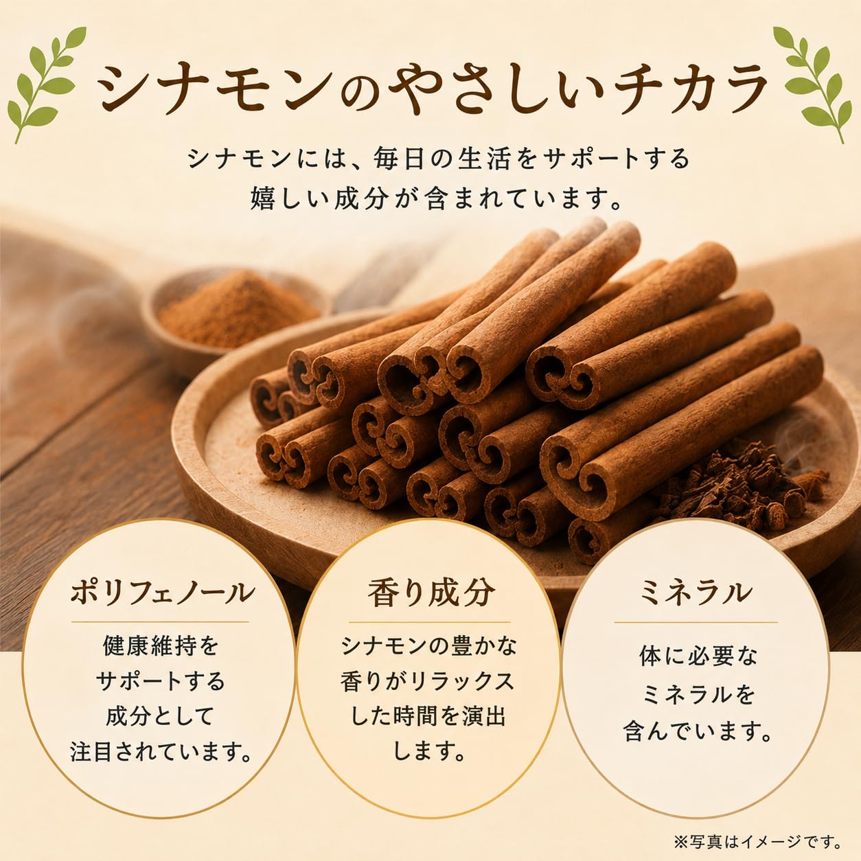 セイロンシナモンハーブティー HARITA 睡眠改善 美容 セイロンシナモン