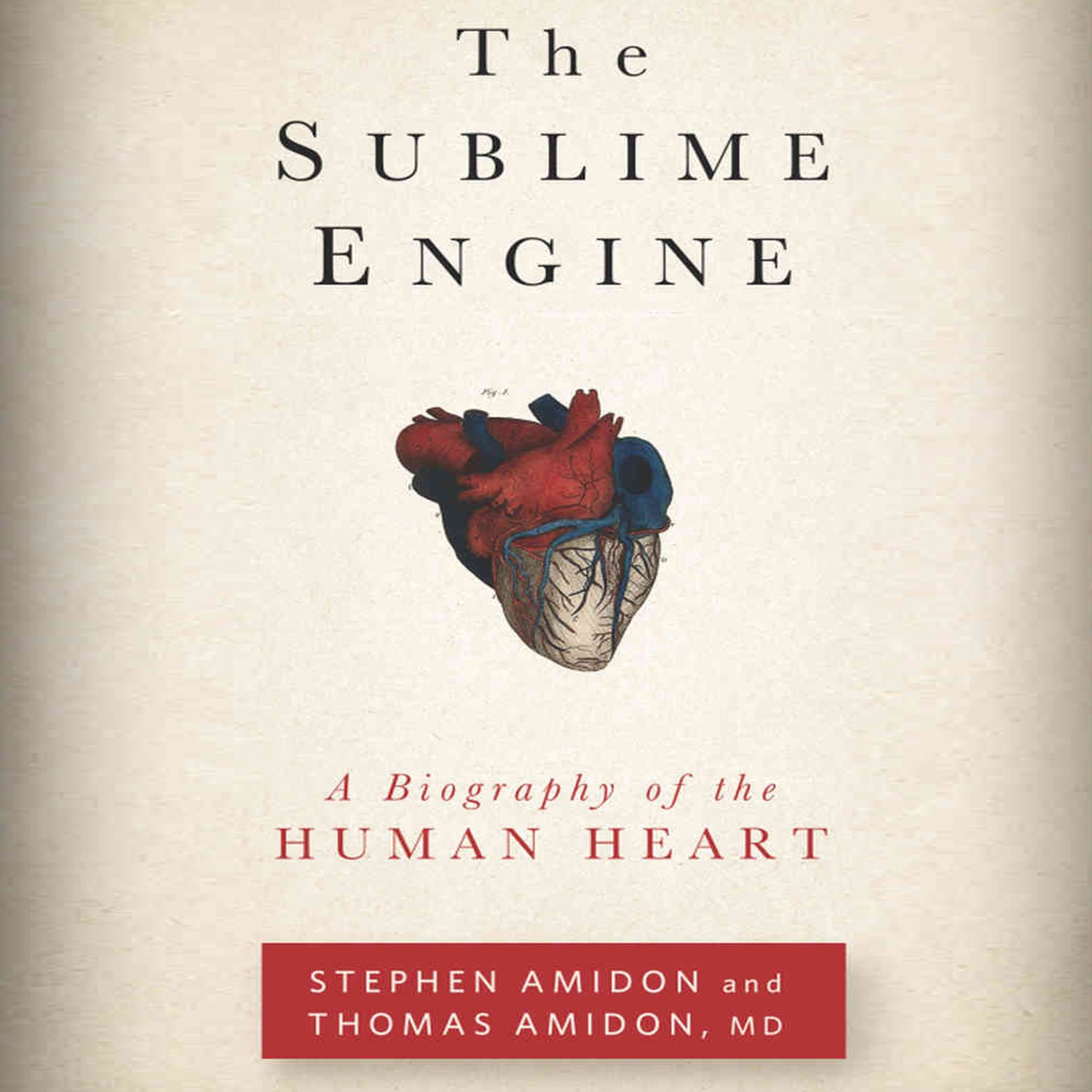 Cover art for The Sublime Engine