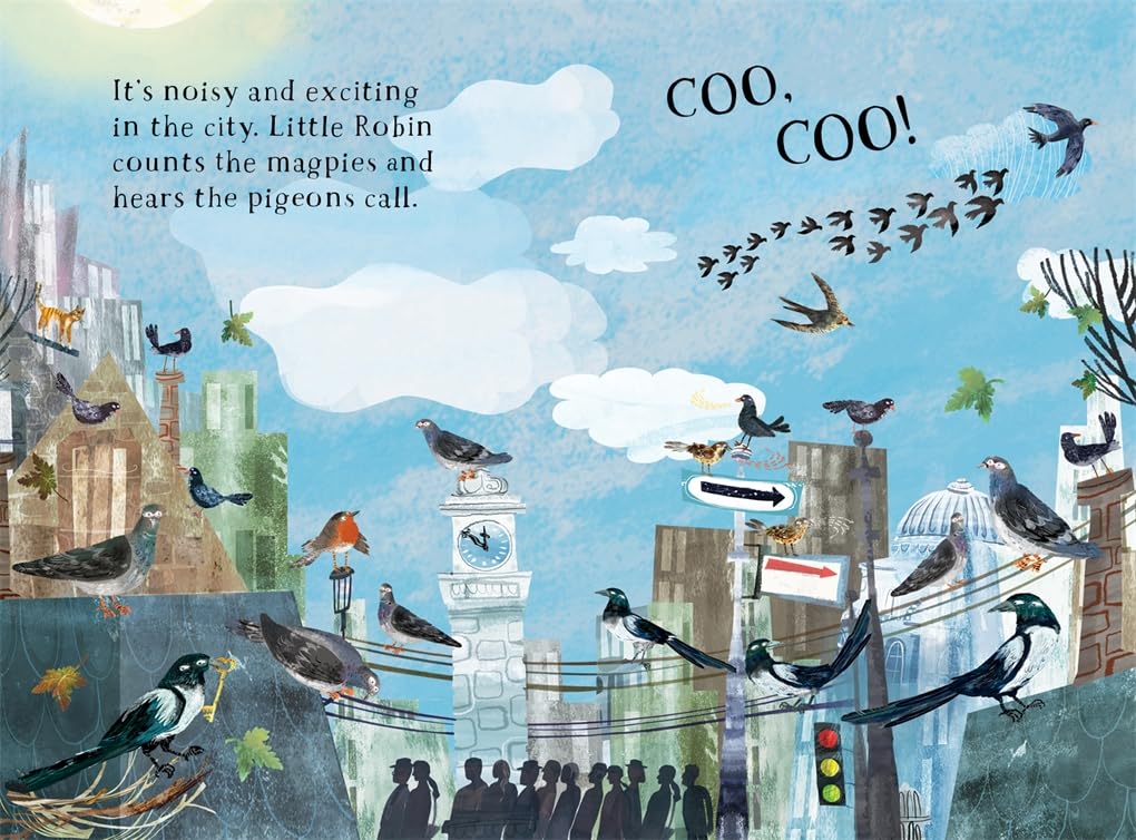 Little Robin's Book of Birds: 16