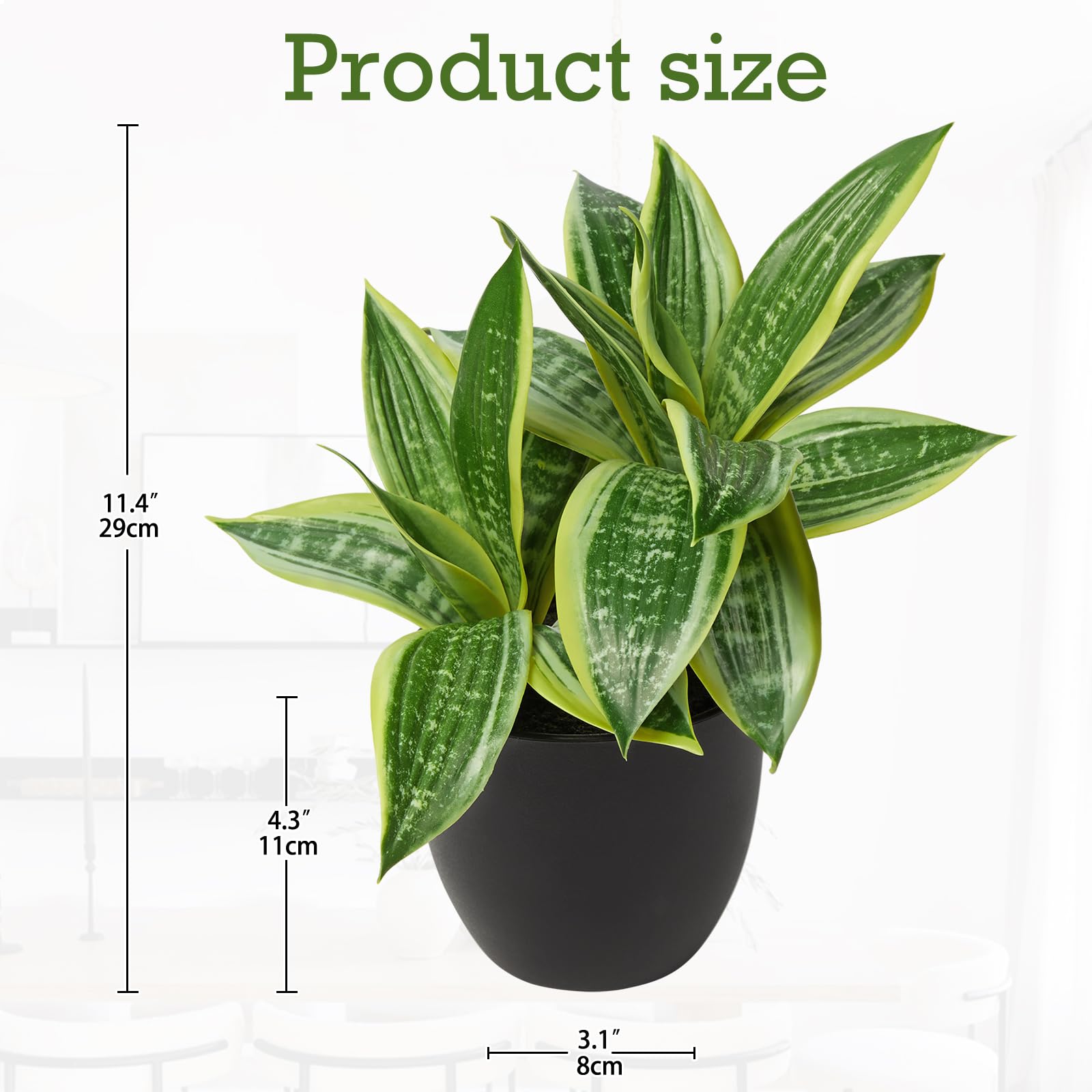 baby's necklace succulent Crassula Baby Necklace Plant: A Beautiful and Low-Maintenance Succulent 2 inch / Bamboo Pot by Succulents Box main image 0
