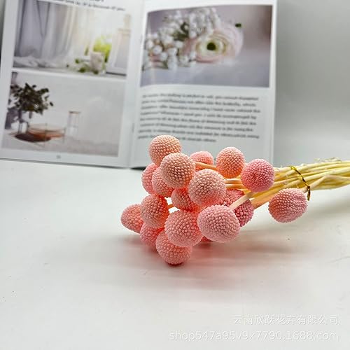 Vista 25 de 20 unidades de flores secas naturales, bolas de Billy amarillas, flores secas de 16 pulgadas, ramo de arreglos de flores para jarrones bohemios