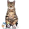 Product Photo 5