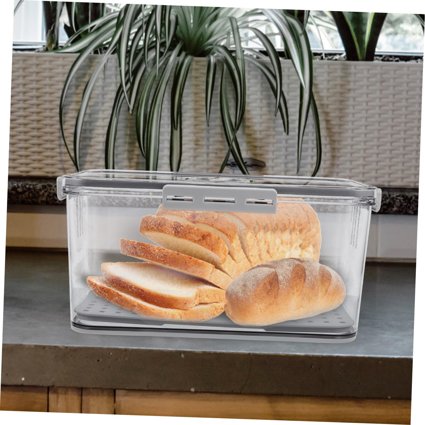 Luftdichte Brotdose aus Kunststoff mit Timerdeckel für Kühlschrank Gemüsebehälter mit Abtropfschale Transparenter Aufbewahrungsbehälter