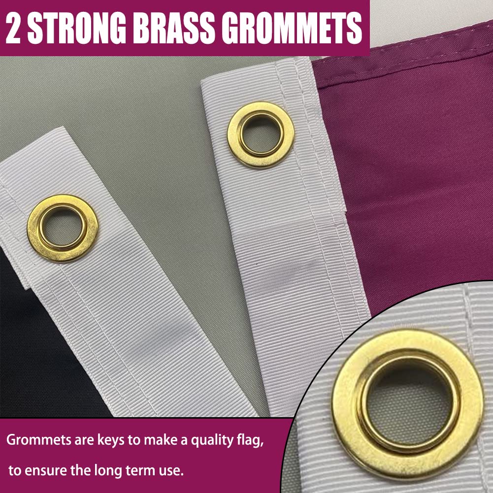 Asexuelle Pride Flagge 3x5 Fuß (ca. 90x152 Cm) – Outdoor-feste Regenbogenflagge Aus Nylon Mit Messingösen & Lebendigen Farben