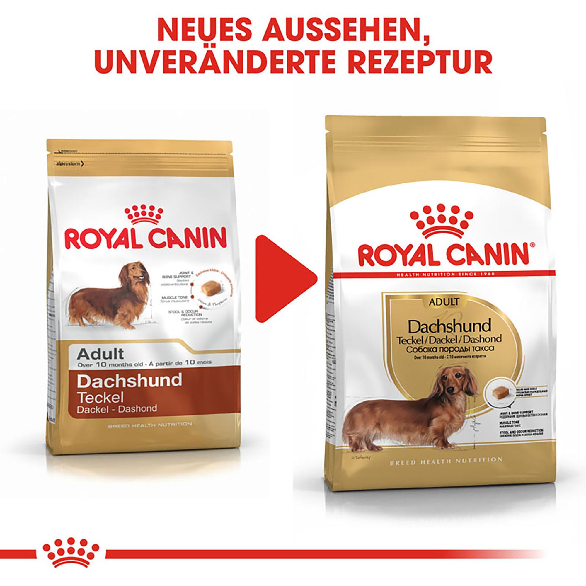Amazon.co.jp: ロイヤルカナン ダックスフンド 成犬用 1.5kg 生後10 Amazon.co.jp: ロイヤルカナン ダックスフンド 成犬用 1.5kg 生後10