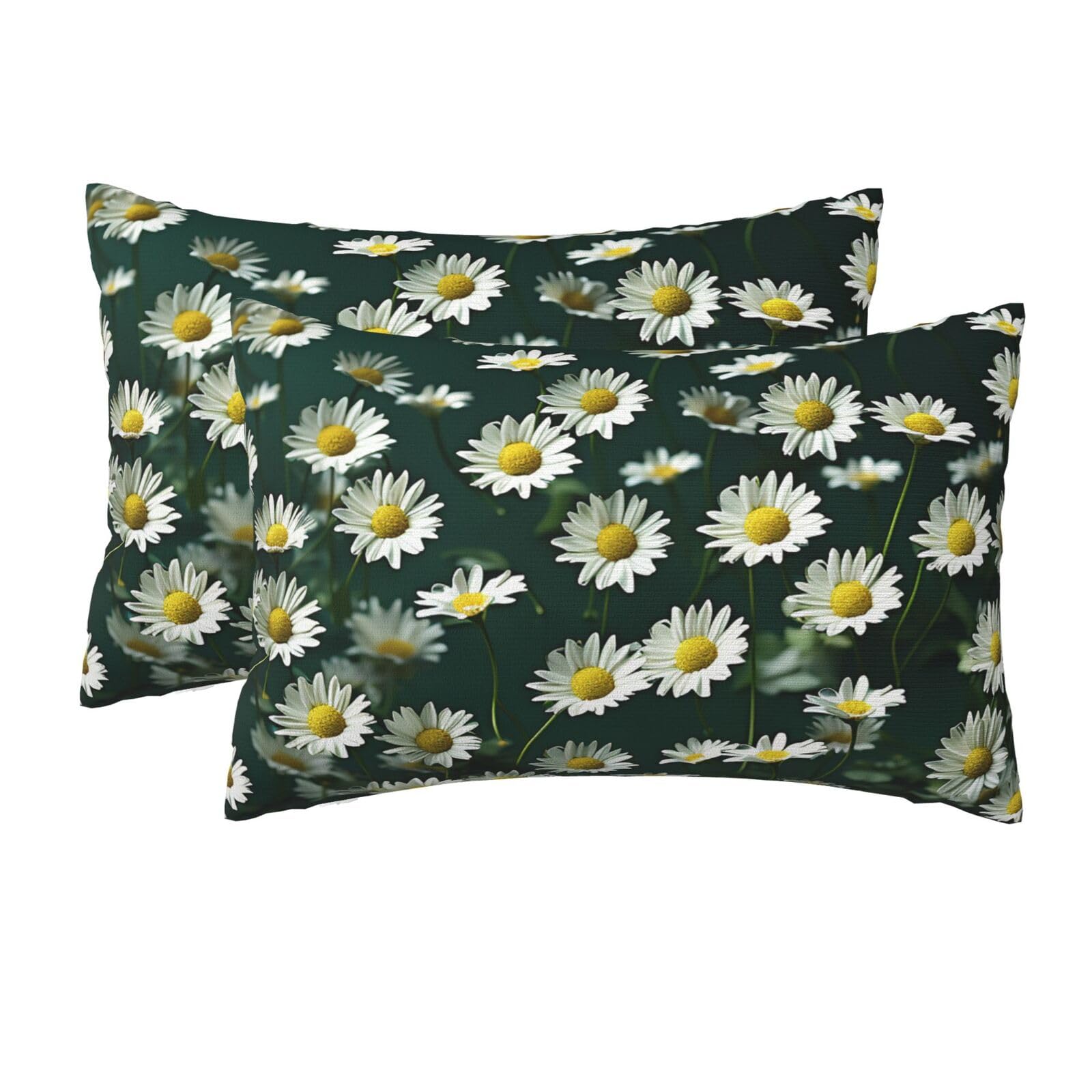 2 Pack Queen Size Pillow Cases for Hair and Skin Soft Breathable Pillow Case Covers with Hidden Zipper Green Daisy Background Pillowcase 20x30 Inches Pillow Cover for Sleeping Gift