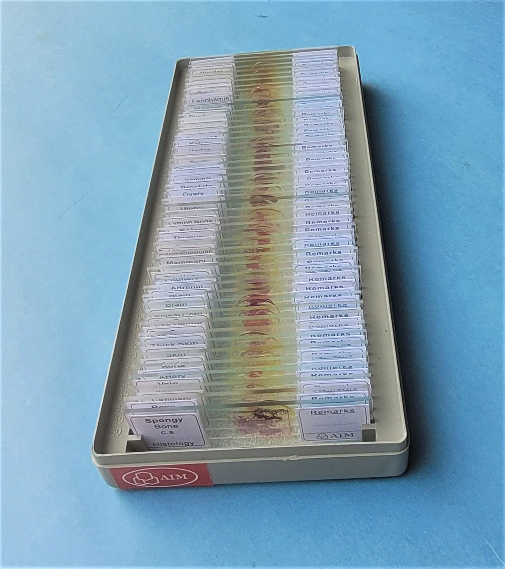 AIM Histology Slides - set of 50 prepared Slides (B0C4H196SZ) Amazon Price History, Amazon Price Tracker