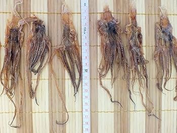 北海道産 225gするめ足 するめいか イカ足　4袋 北海道産 225gするめ足 するめいか イカ足 4袋